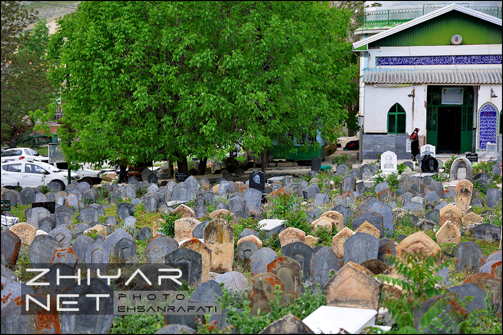 گورستان تاریخی سفیدچاه