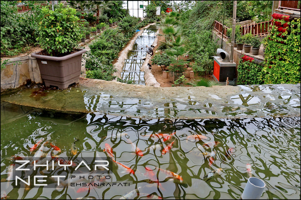 باغ پرندگان قم