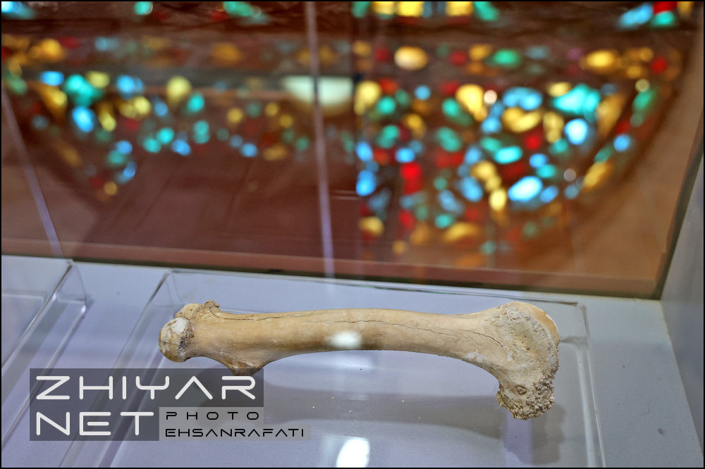 موزه پارینه سنگی زاگرس کرمانشاه