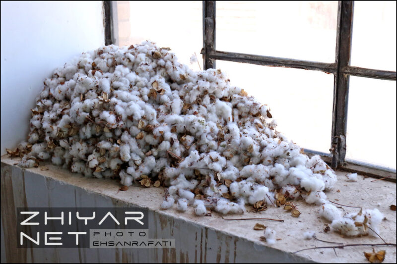 موزه علم و صنعت (کارخانه پنبه) گرمسار